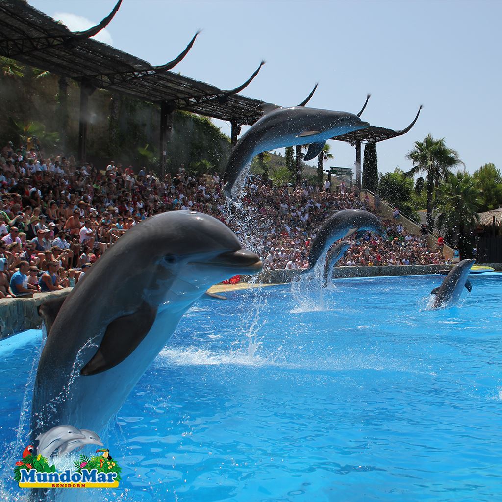 Mundomar benidorm
