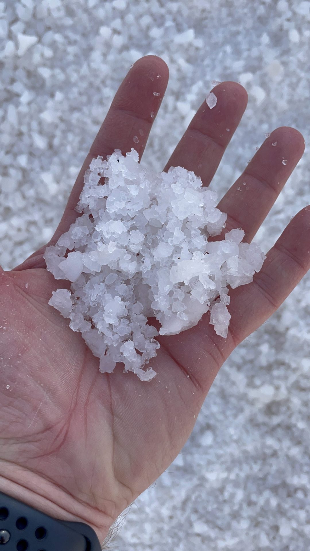 salt lakes torrevieja 14