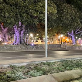 Alicante2