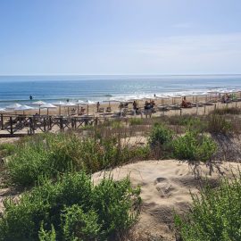 Beach Guardamar2