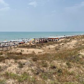 Guardamar beach4