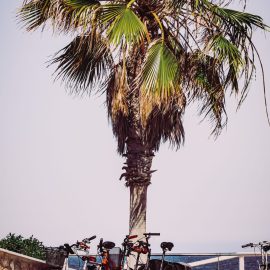 Guardamar1 fietshuur