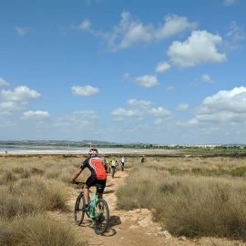 MTB rental