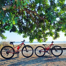 MTB rental1