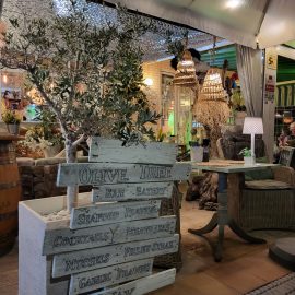 Olive tree
