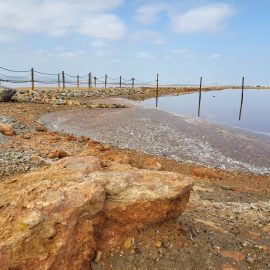 Salt lake torrevieja3